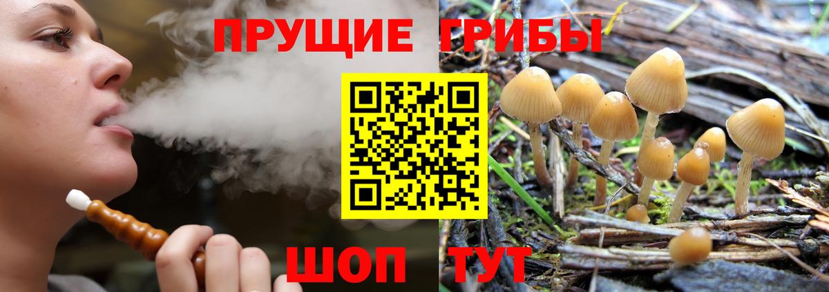 Галлюциногенные грибы Psilocybine cubensis  продажа наркотиков  Ялуторовск  Вход с VPN  Псилоцибиновые грибы Magic Shrooms 