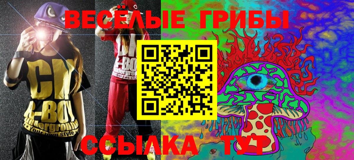 Псилоцибиновые грибы Psilocybine cubensis Ялуторовск
